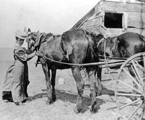 Encyclopedia of the Great Plains